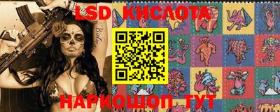гашик Шахты