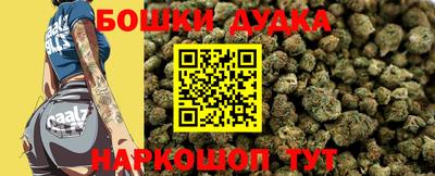 гашик Шахты