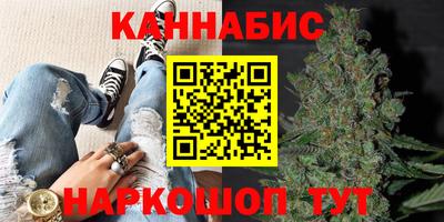 гашик Шахты