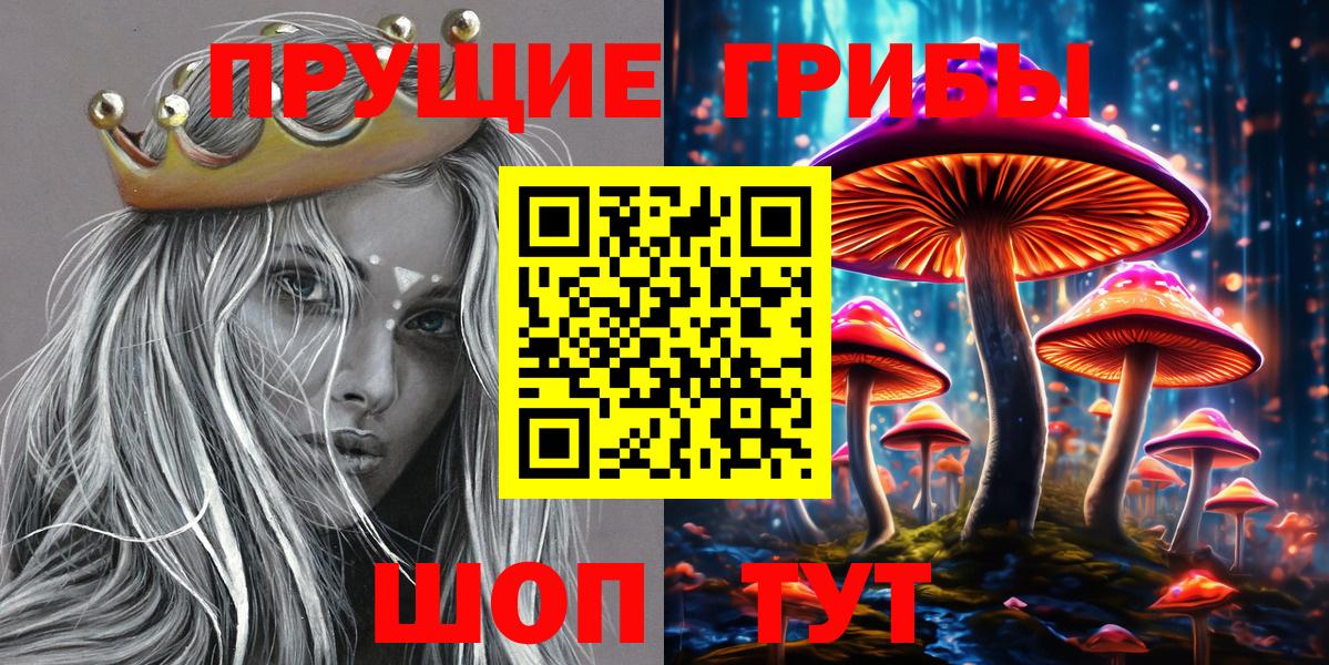 Комсомольск-на-Амуре  как найти закладки  Вход с VPN  Галлюциногенные грибы Psilocybe 